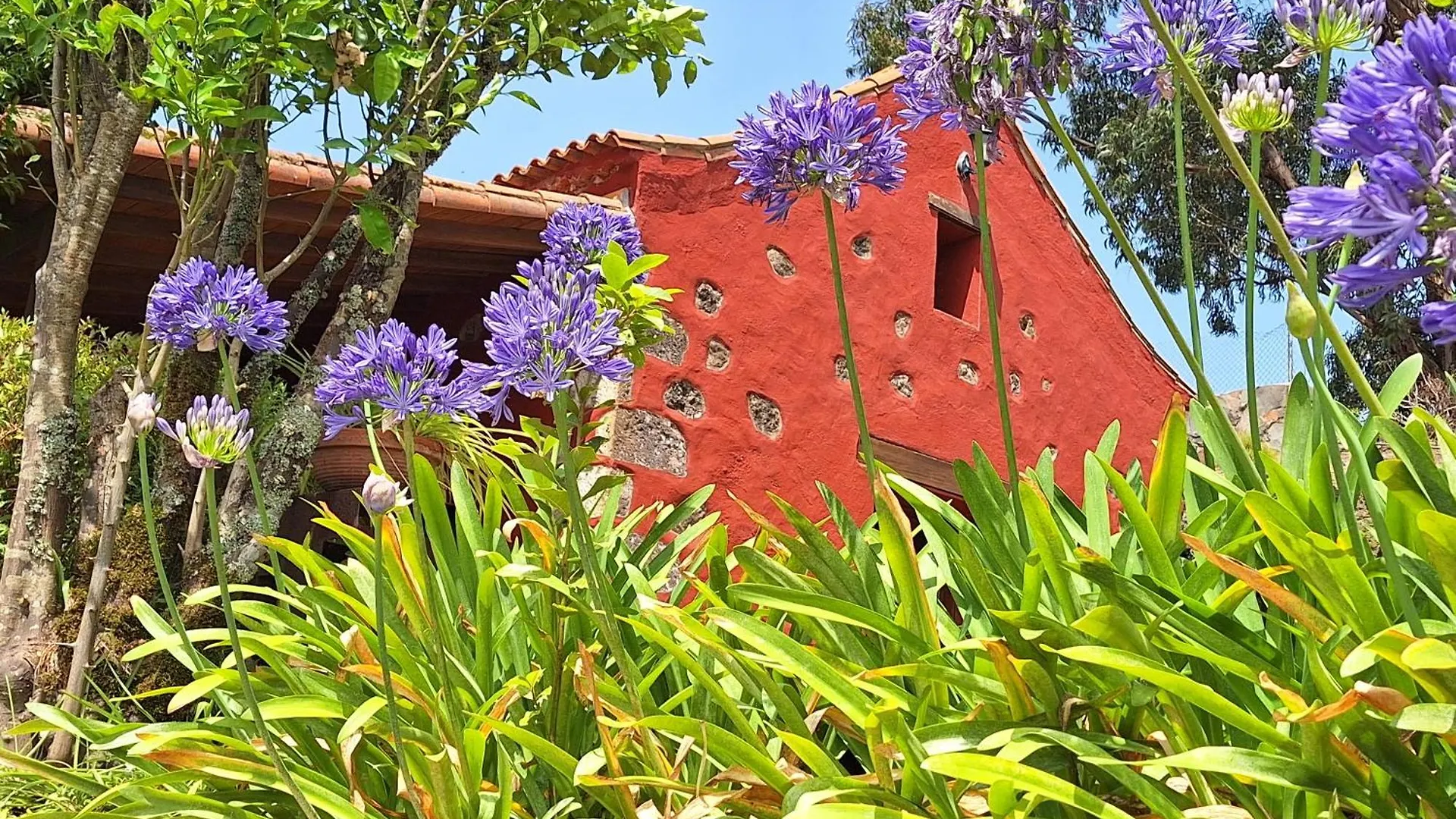 Casa Rural Con Piscina Privada El Roble 0*, Moya (Gran Canaria) Spain