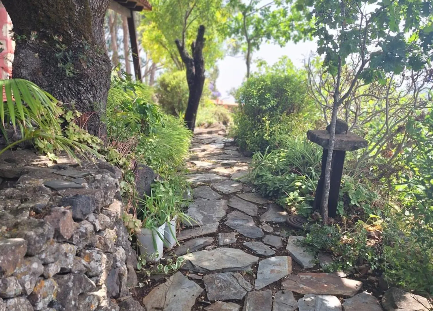 Casa Rural Con Piscina Privada El Roble Moya (Gran Canaria)