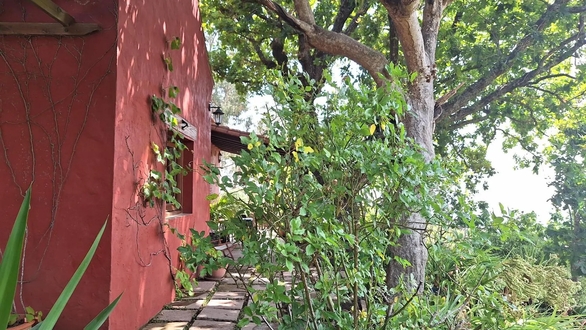 Casa Rural Con Piscina Privada El Roble 0*, Moya (Gran Canaria)
